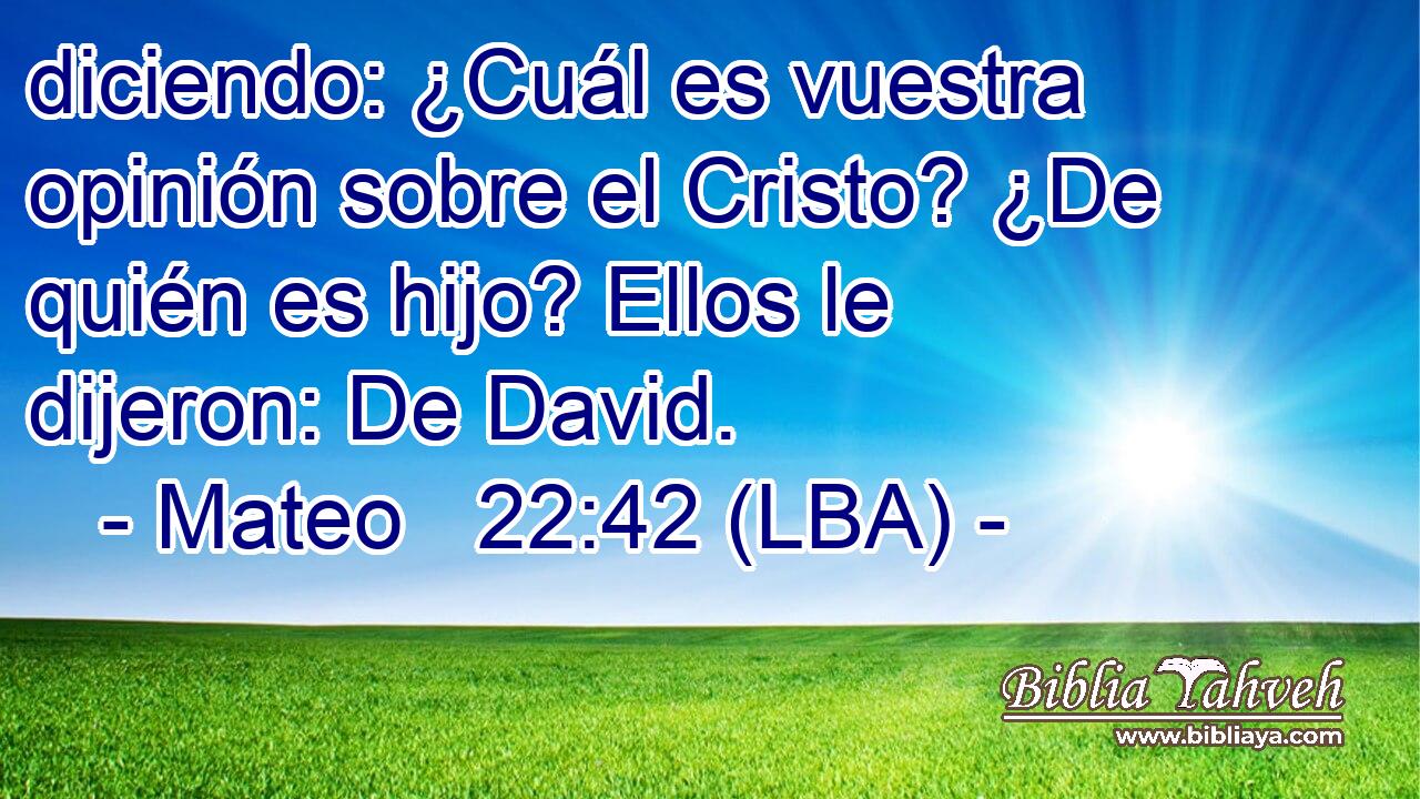 diciendo: ¿Cuál es vuestra opinión sobre el Cristo? ¿De quién es hijo? Ellos le dijeron: De David.