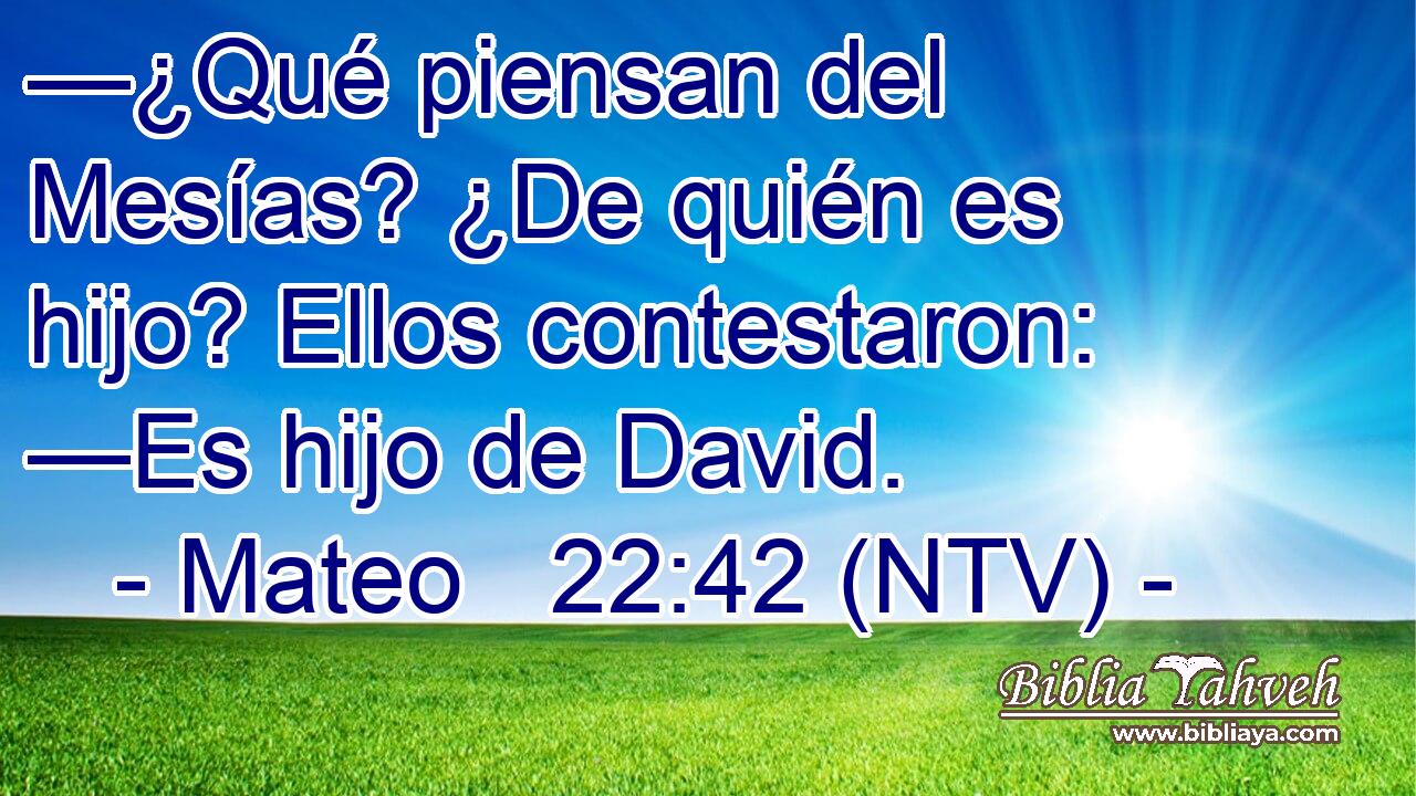 —¿Qué piensan del Mesías? ¿De quién es hijo? Ellos contestaron: —Es hijo de David.