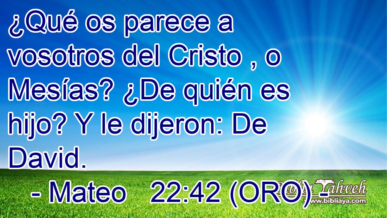 ¿Qué os parece a vosotros del Cristo , o Mesías? ¿De quién es hijo? Y le dijeron: De David. 