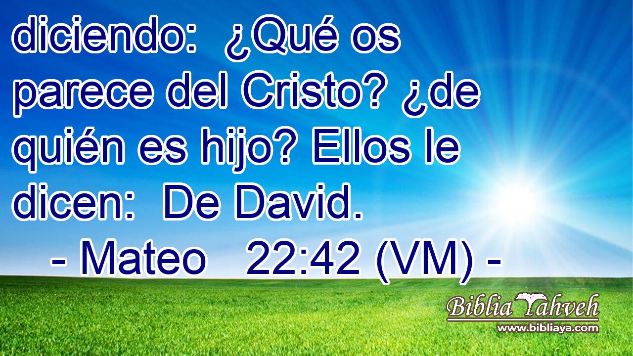  diciendo:  ¿Qué os parece del Cristo? ¿de quién es hijo? Ellos le dicen:  De David. 
