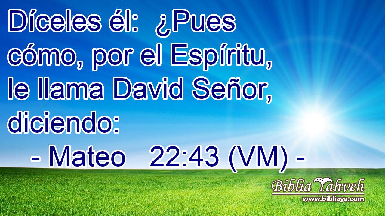  Díceles él:  ¿Pues cómo, por el Espíritu, le llama David Señor, diciendo: 