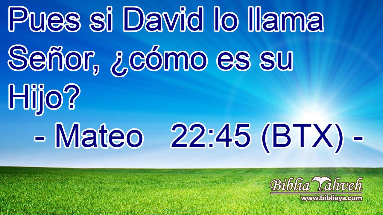 Pues si David lo llama Señor, ¿cómo es su Hijo?