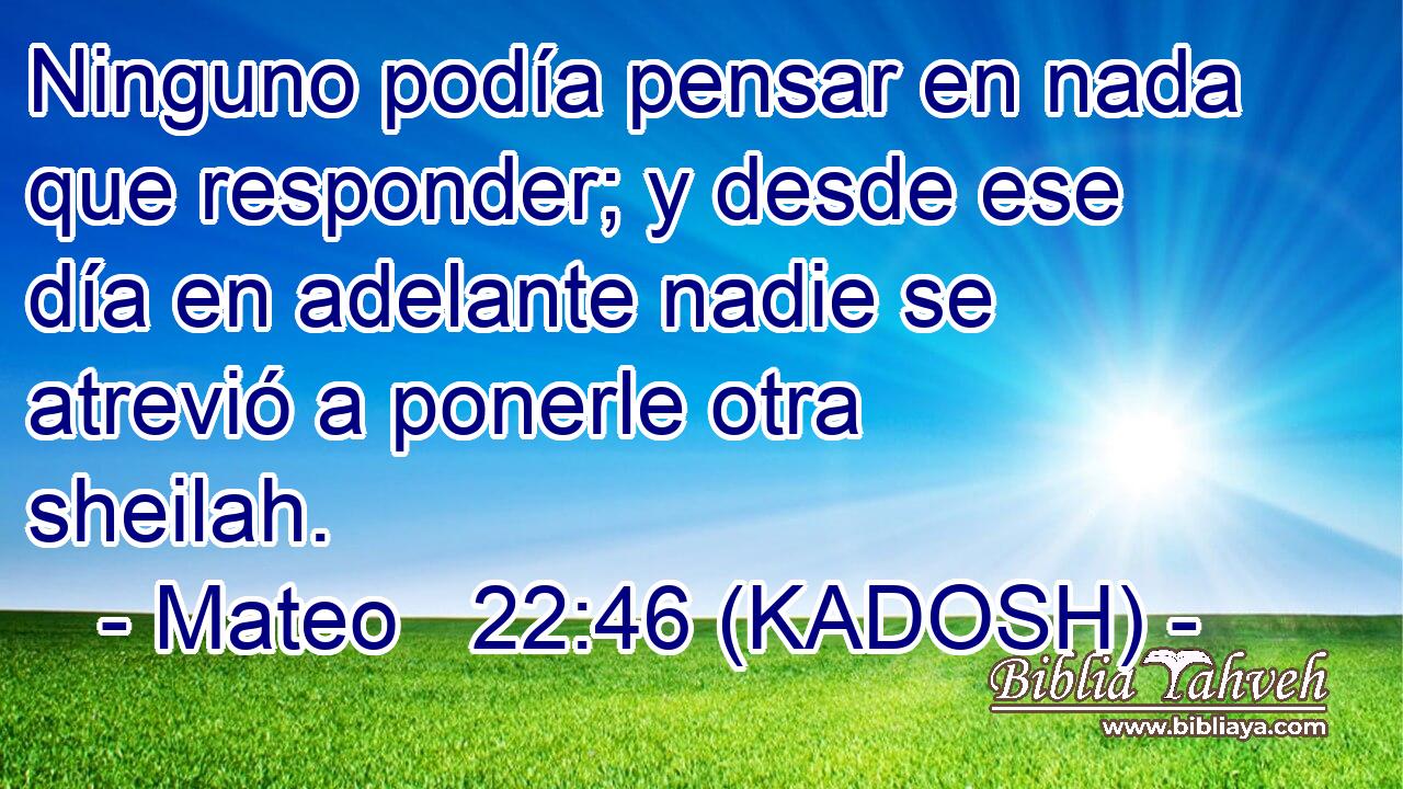  Ninguno podía pensar en nada que responder; y desde ese día en adelante nadie se atrevió a ponerle otra sheilah. 