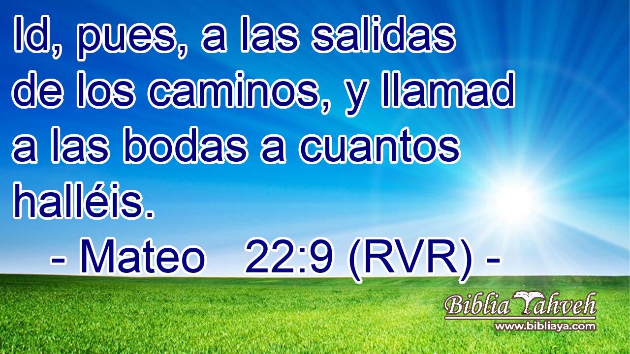 Id, pues, a las salidas de los caminos, y llamad a las bodas a cuantos halléis.