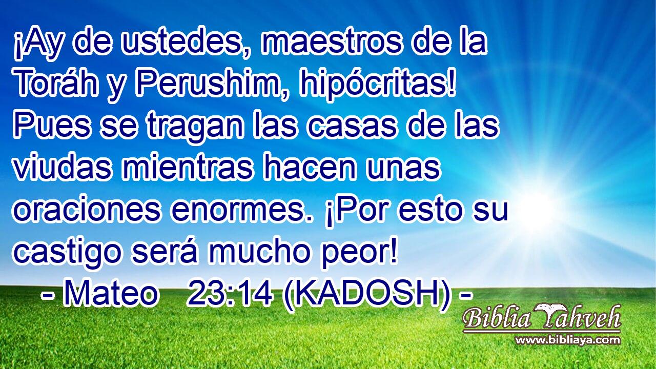  ¡Ay de ustedes, maestros de la Toráh y Perushim, hipócritas! Pues se tragan las casas de las viudas mientras hacen unas oraciones enormes. ¡Por esto su castigo será mucho peor! 