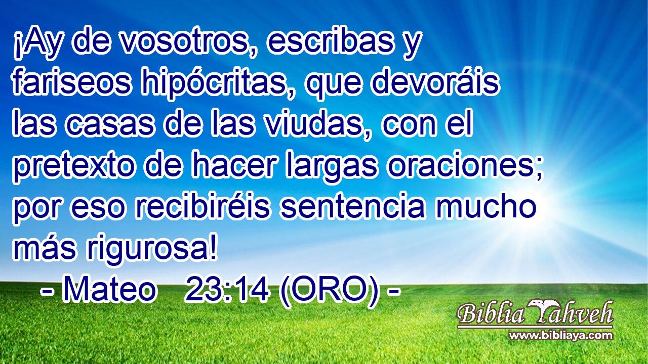  ¡Ay de vosotros, escribas y fariseos hipócritas, que devoráis las casas de las viudas, con el pretexto de hacer largas oraciones; por eso recibiréis sentencia mucho más rigurosa! 