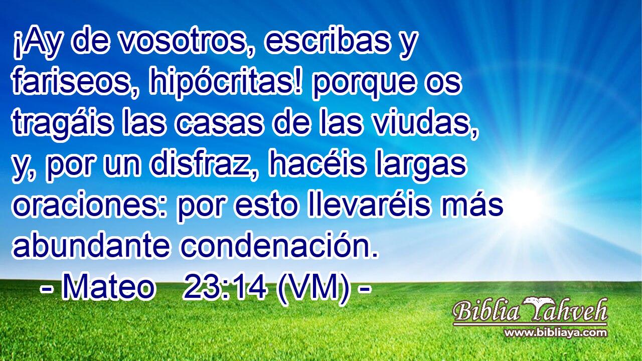  ¡Ay de vosotros, escribas y fariseos, hipócritas! porque os tragáis las casas de las viudas, y, por un disfraz, hacéis largas oraciones: por esto llevaréis más abundante condenación. 