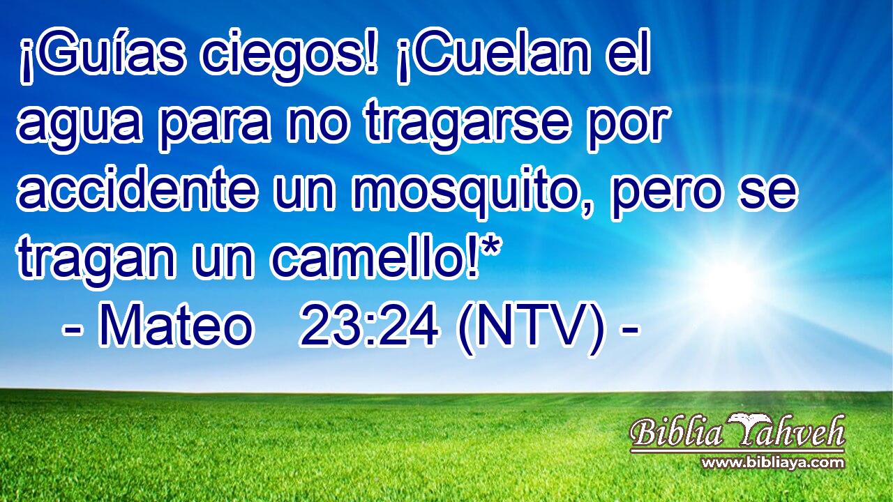 ¡Guías ciegos! ¡Cuelan el agua para no tragarse por accidente un mosquito, pero se tragan un camello!*