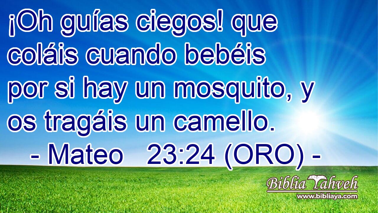  ¡Oh guías ciegos! que coláis cuando bebéis por si hay un mosquito, y os tragáis un camello. 