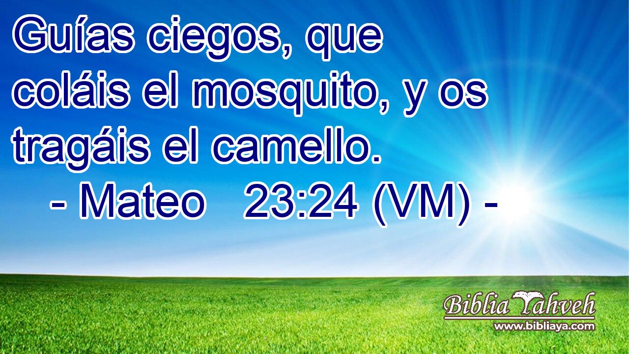  Guías ciegos, que coláis el mosquito, y os tragáis el camello. 