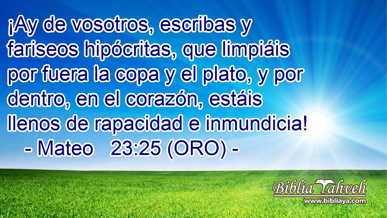  ¡Ay de vosotros, escribas y fariseos hipócritas, que limpiáis por fuera la copa y el plato, y por dentro, en el corazón, estáis llenos de rapacidad e inmundicia! 