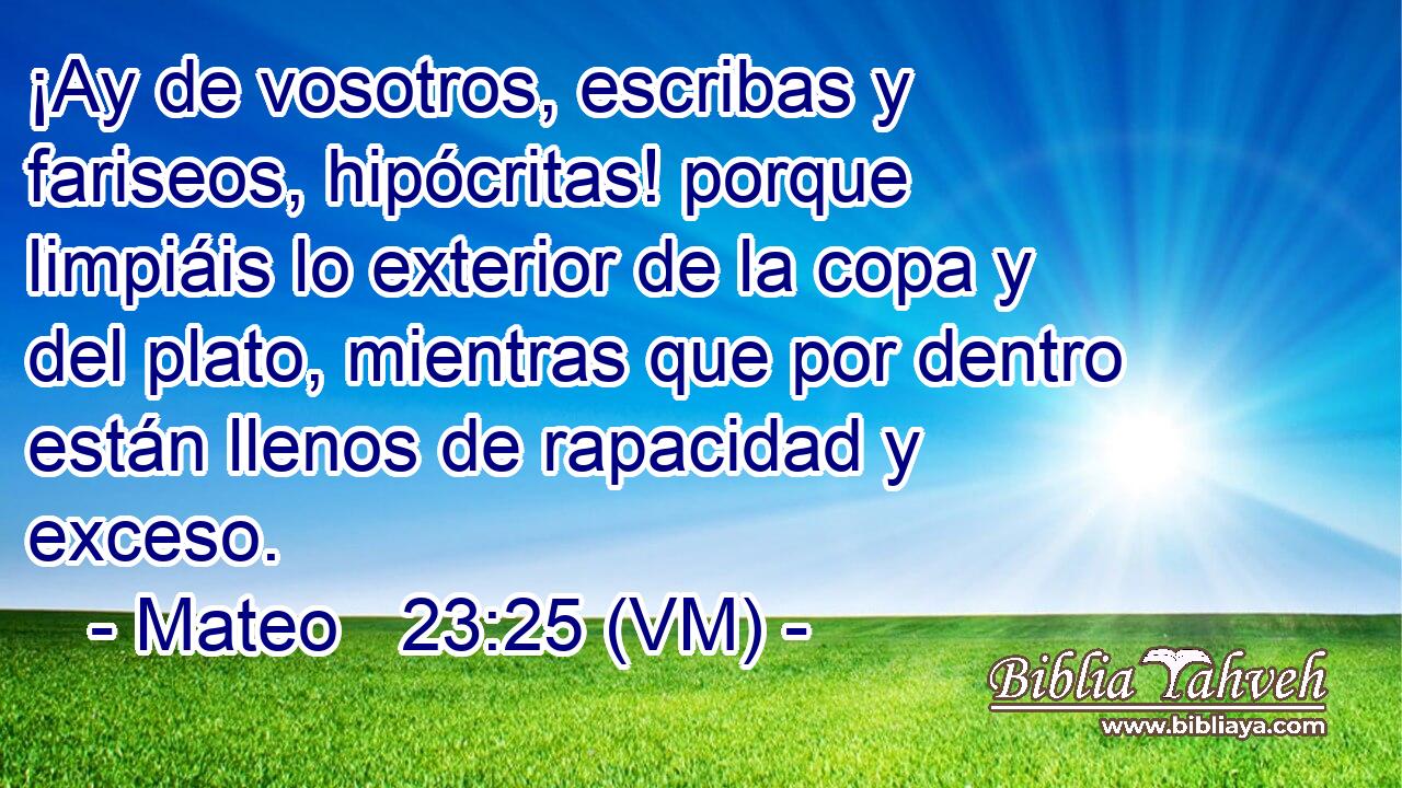  ¡Ay de vosotros, escribas y fariseos, hipócritas! porque limpiáis lo exterior de la copa y del plato, mientras que por dentro están llenos de rapacidad y exceso. 