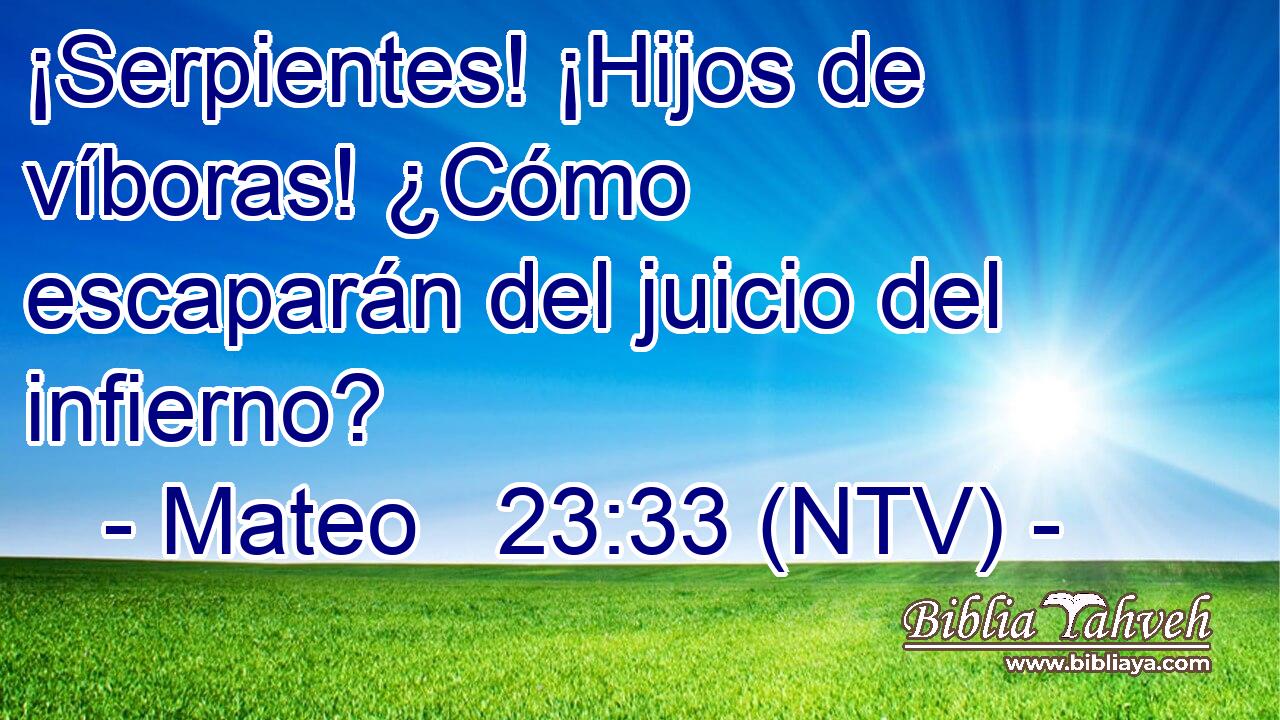 ¡Serpientes! ¡Hijos de víboras! ¿Cómo escaparán del juicio del infierno?