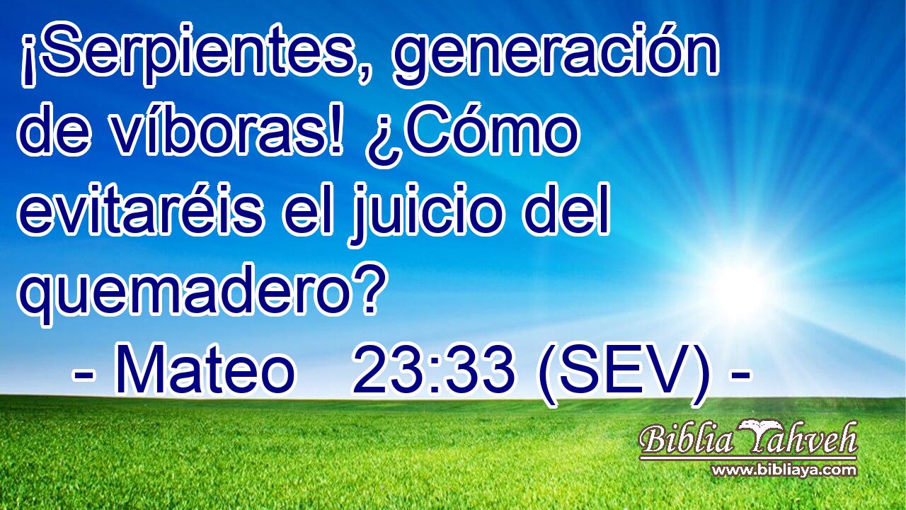 ¡Serpientes, generación de víboras! ¿Cómo evitaréis el juicio del quemadero?