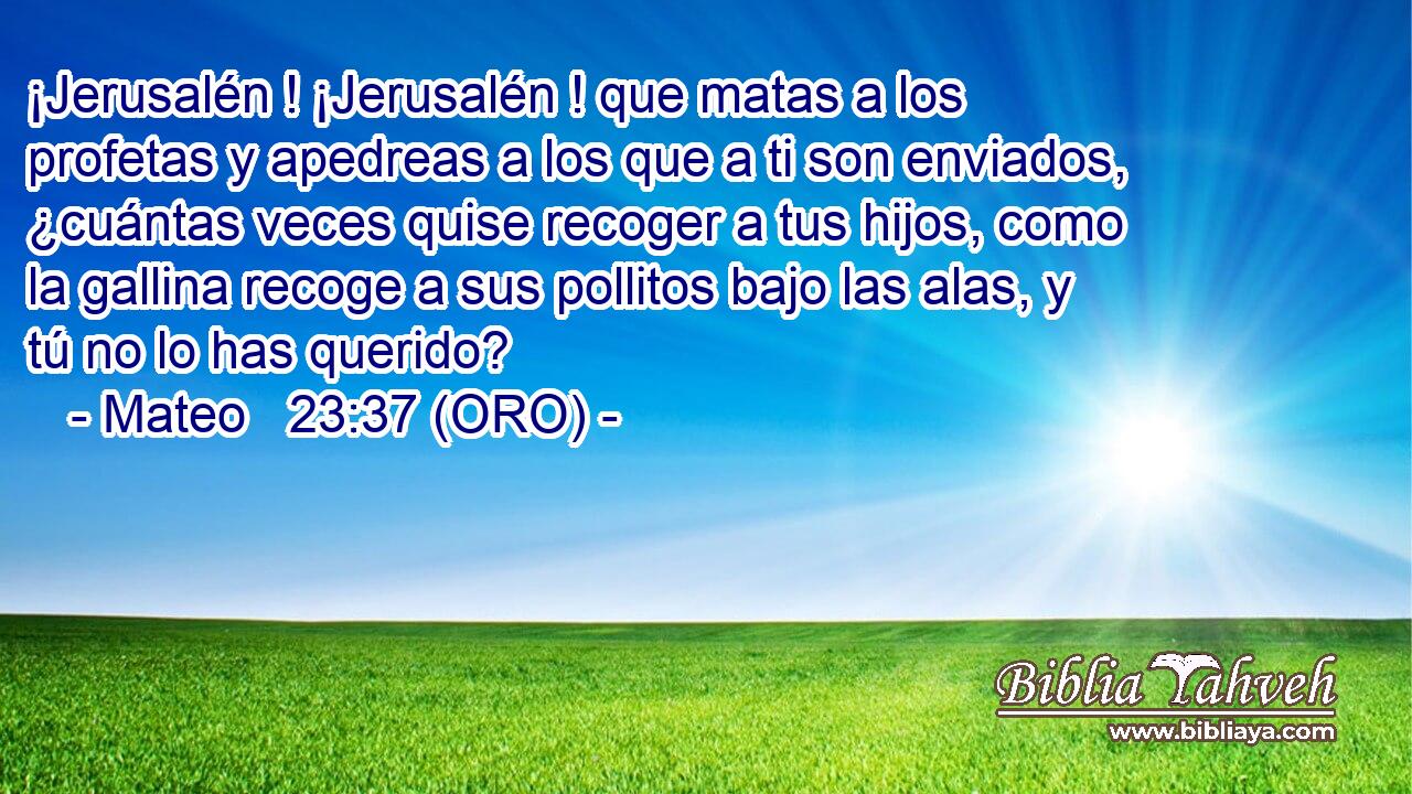  ¡Jerusalén ! ¡Jerusalén ! que matas a los profetas y apedreas a los que a ti son enviados, ¿cuántas veces quise recoger a tus hijos, como la gallina recoge a sus pollitos bajo las alas, y tú no lo has querido? 