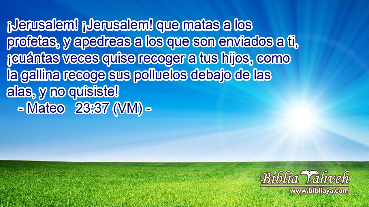  ¡Jerusalem! ¡Jerusalem! que matas a los profetas, y apedreas a los que son enviados a ti, ¡cuántas veces quise recoger a tus hijos, como la gallina recoge sus polluelos debajo de las alas, y no quisiste! 