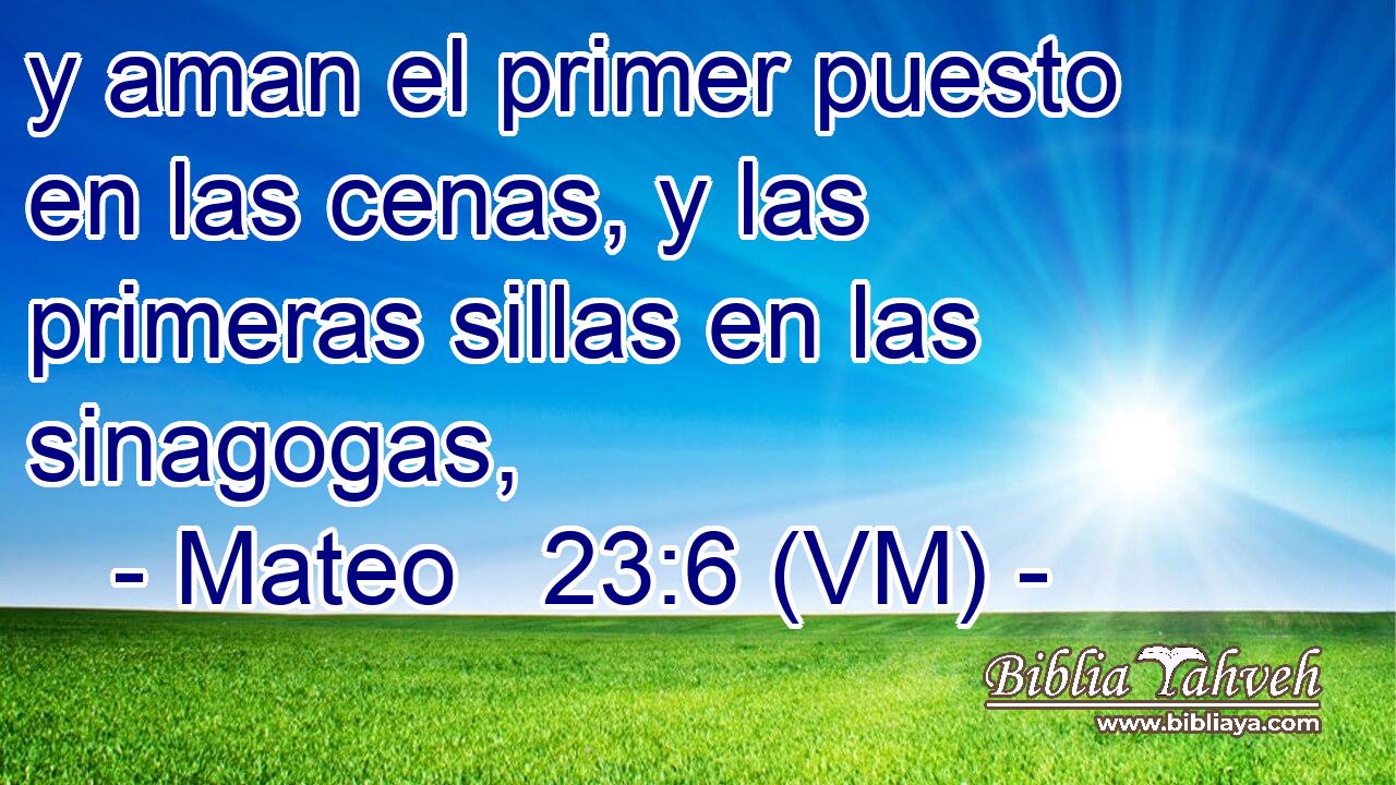  y aman el primer puesto en las cenas, y las primeras sillas en las sinagogas, 