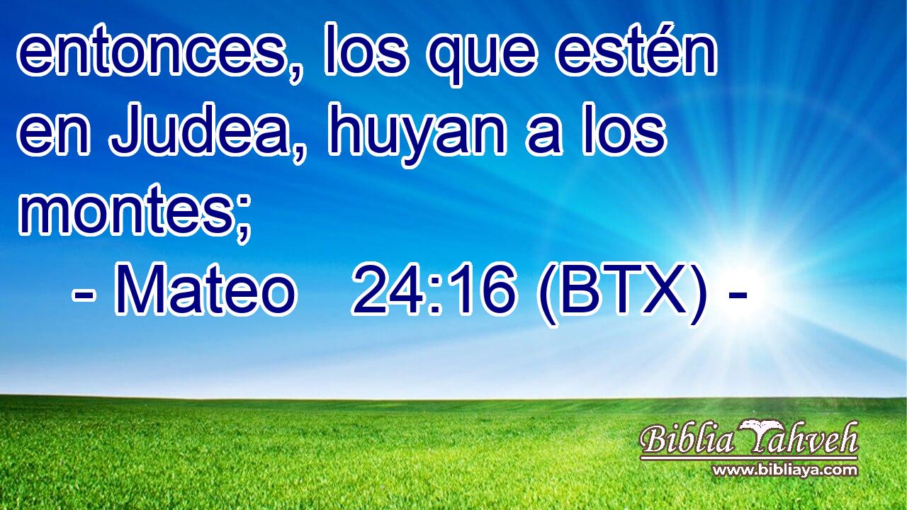 entonces, los que estén en Judea, huyan a los montes;