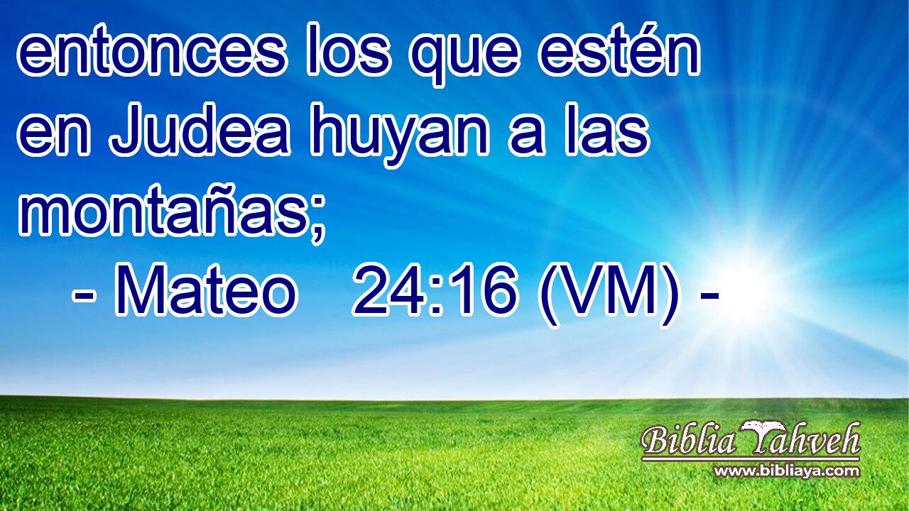  entonces los que estén en Judea huyan a las montañas; 