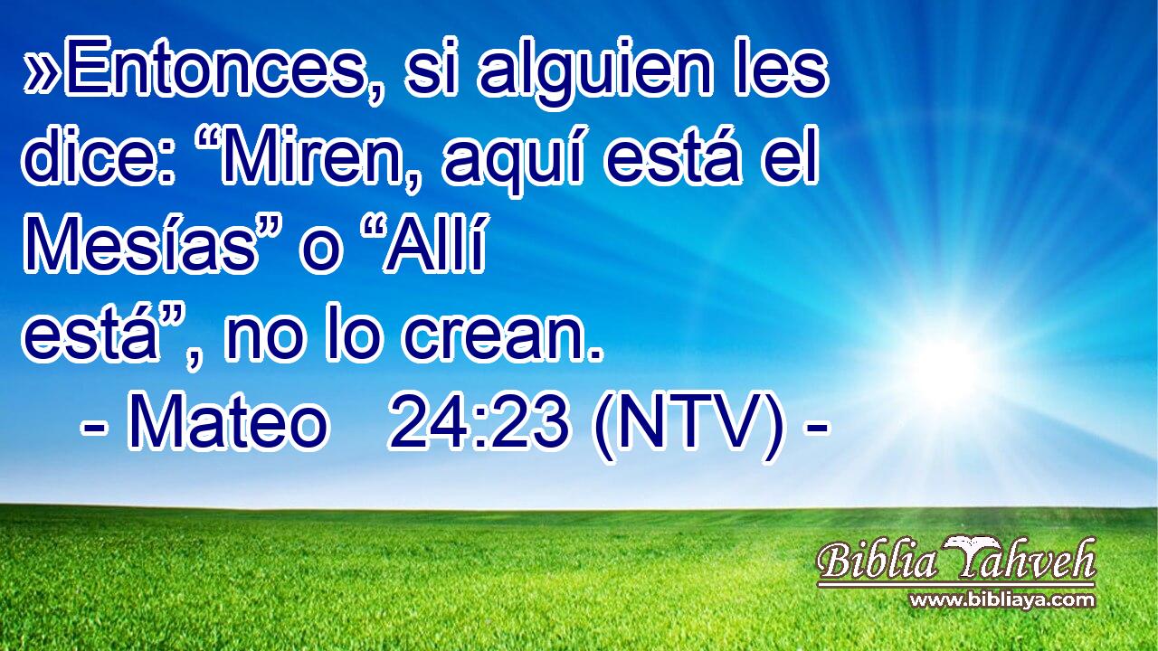 »Entonces, si alguien les dice: “Miren, aquí está el Mesías” o “Allí está”, no lo crean.