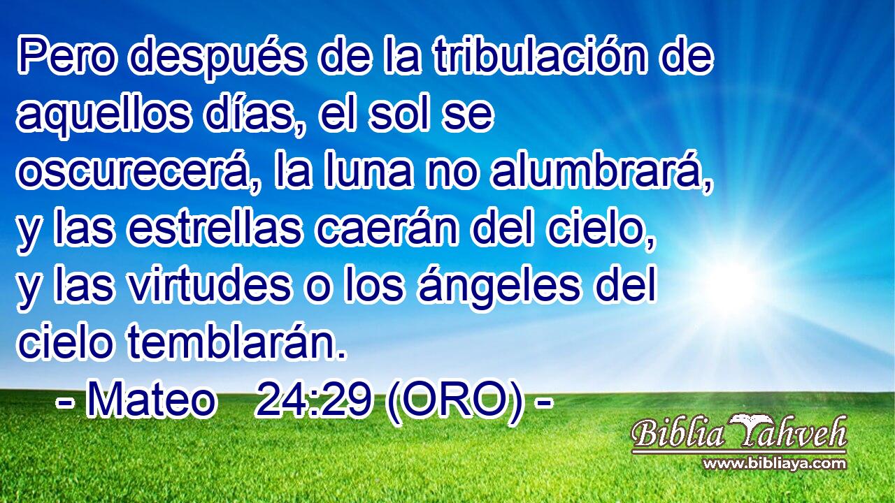  Pero después de la tribulación de aquellos días, el sol se oscurecerá, la luna no alumbrará, y las estrellas caerán del cielo, y las virtudes o los ángeles del cielo temblarán. 