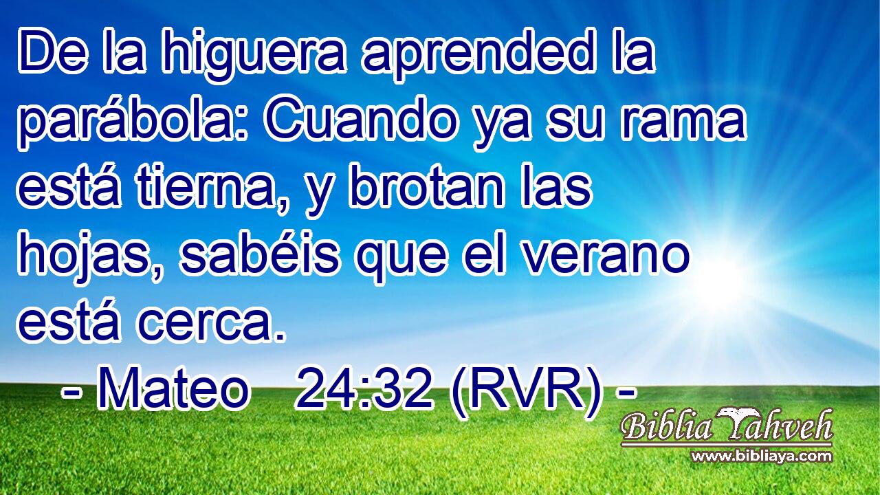 De la higuera aprended la parábola: Cuando ya su rama está tierna, y brotan las hojas, sabéis que el verano está cerca.