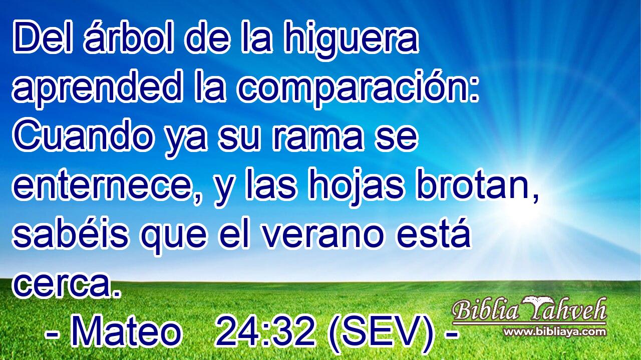 Del árbol de la higuera aprended la comparación: Cuando ya su rama se enternece, y las hojas brotan, sabéis que el verano está cerca.