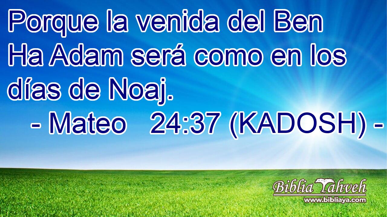  Porque la venida del Ben Ha Adam será como en los días de Noaj. 