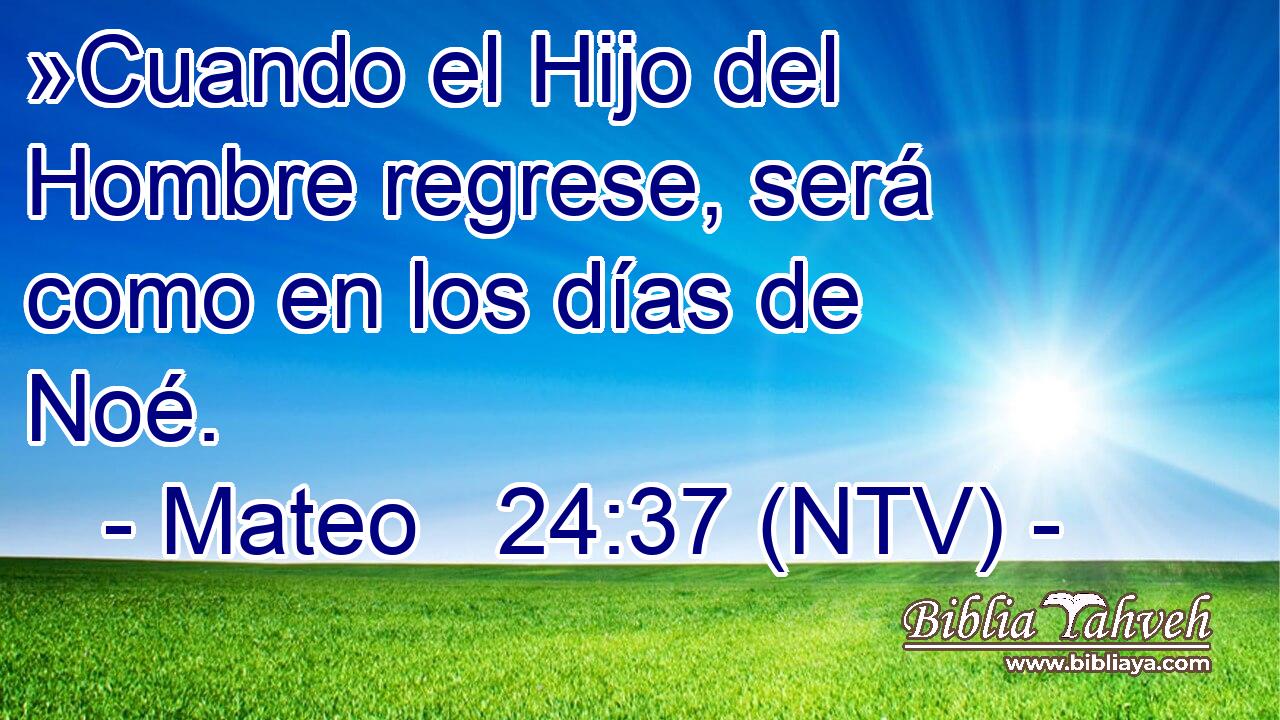 »Cuando el Hijo del Hombre regrese, será como en los días de Noé.