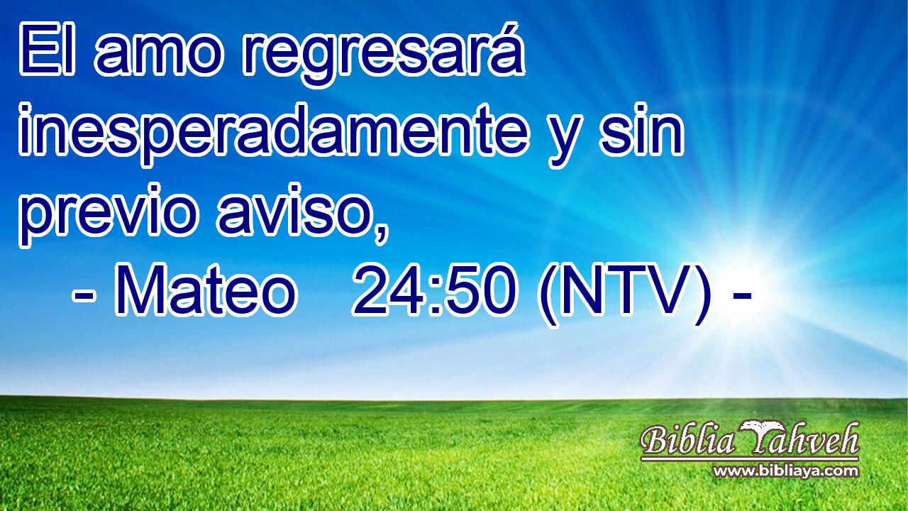 El amo regresará inesperadamente y sin previo aviso,