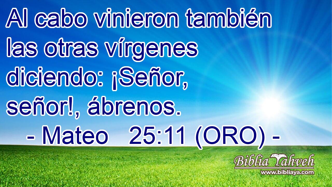  Al cabo vinieron también las otras vírgenes diciendo: ¡Señor, señor!, ábrenos. 