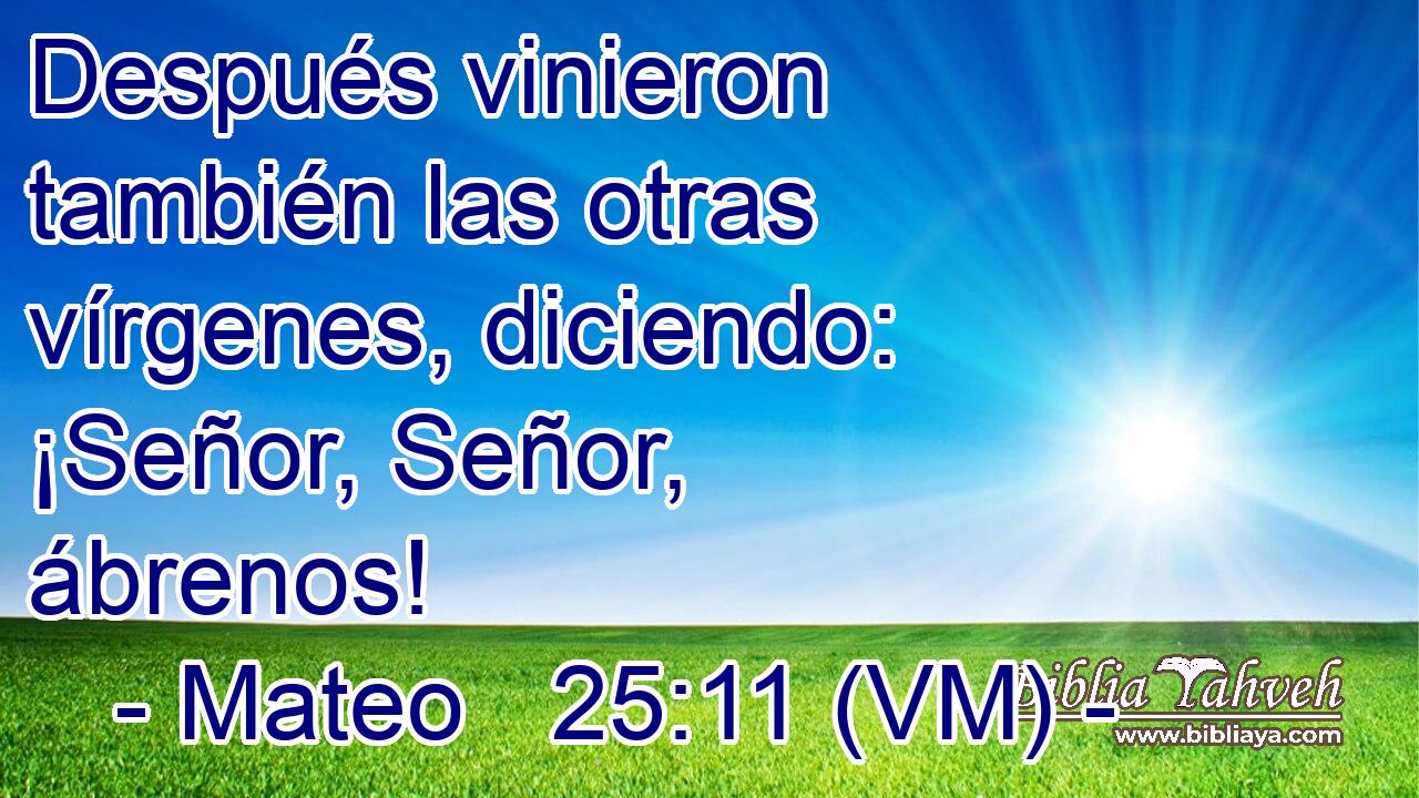  Después vinieron también las otras vírgenes, diciendo:  ¡Señor, Señor, ábrenos! 
