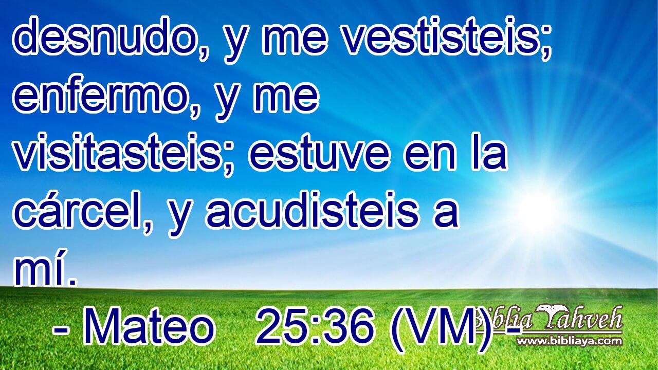  desnudo, y me vestisteis; enfermo, y me visitasteis; estuve en la cárcel, y acudisteis a mí. 