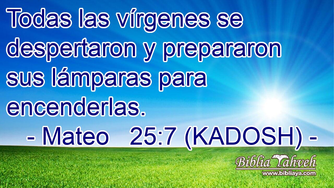  Todas las vírgenes se despertaron y prepararon sus lámparas para encenderlas. 