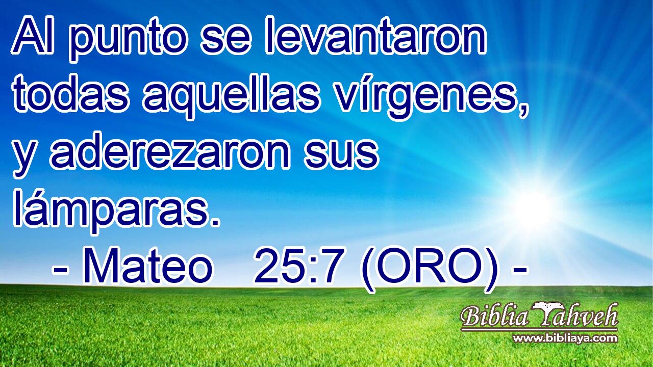  Al punto se levantaron todas aquellas vírgenes, y aderezaron sus lámparas. 