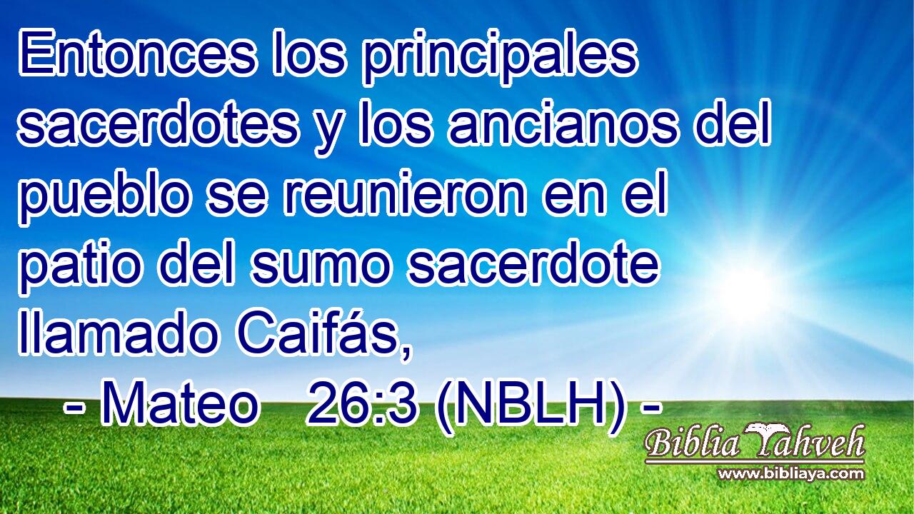  Entonces los principales sacerdotes y los ancianos del pueblo se reunieron en el patio del sumo sacerdote llamado Caifás, 