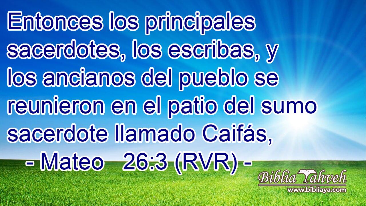 Entonces los principales sacerdotes, los escribas, y los ancianos del pueblo se reunieron en el patio del sumo sacerdote llamado Caifás,
