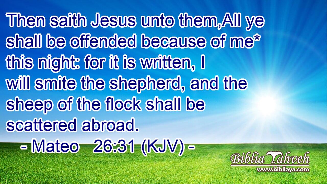 Then saith Jesus unto them,All ye shall be offended because of me* this night: for it is written, I will smite the shepherd, and the sheep of the flock shall be scattered abroad.