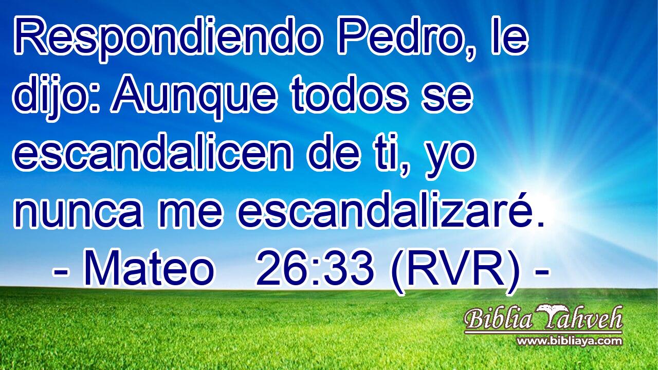 Respondiendo Pedro, le dijo: Aunque todos se escandalicen de ti, yo nunca me escandalizaré.