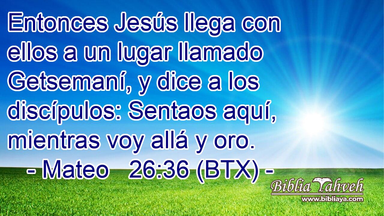 Entonces Jesús llega con ellos a un lugar llamado Getsemaní, y dice a los discípulos: Sentaos aquí, mientras voy allá y oro.