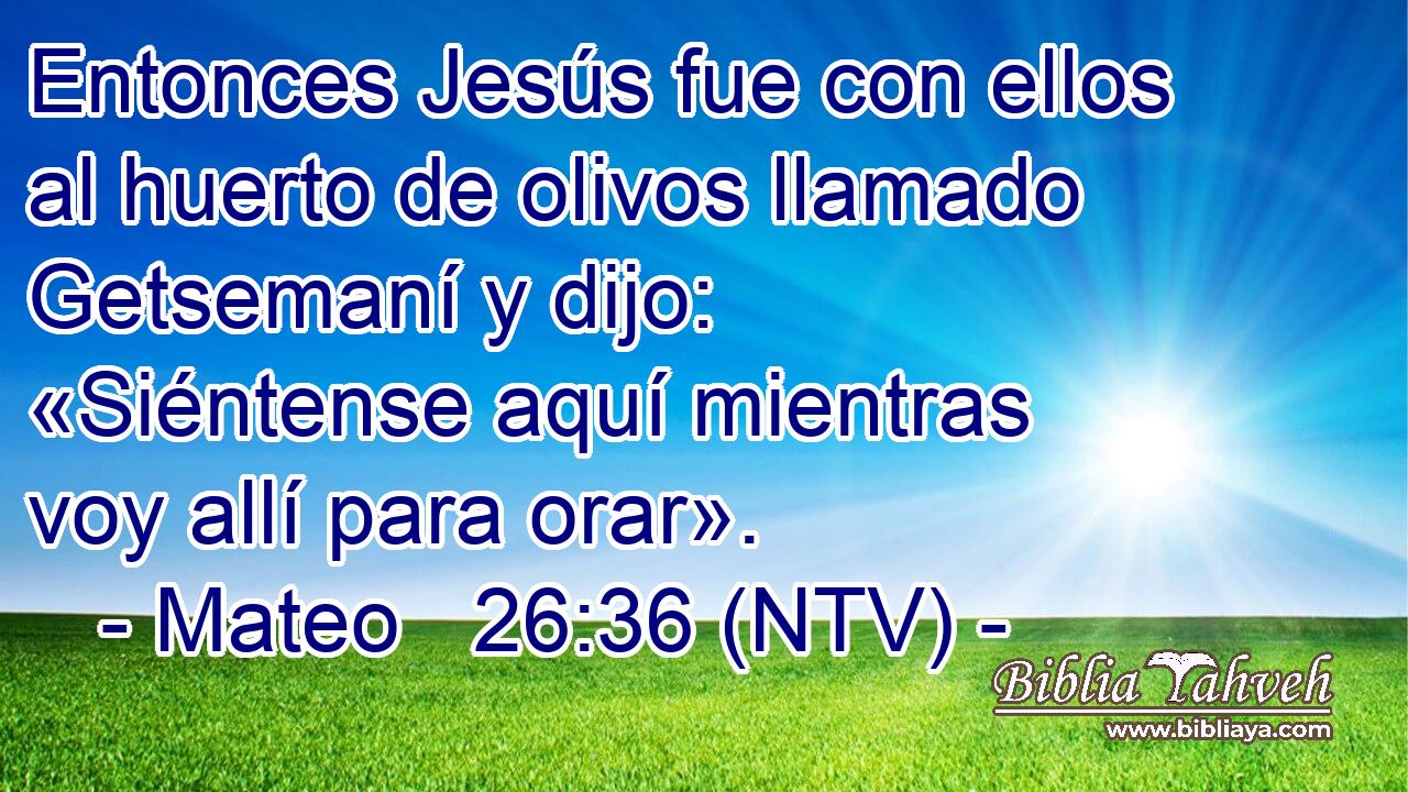 Entonces Jesús fue con ellos al huerto de olivos llamado Getsemaní y dijo: «Siéntense aquí mientras voy allí para orar».