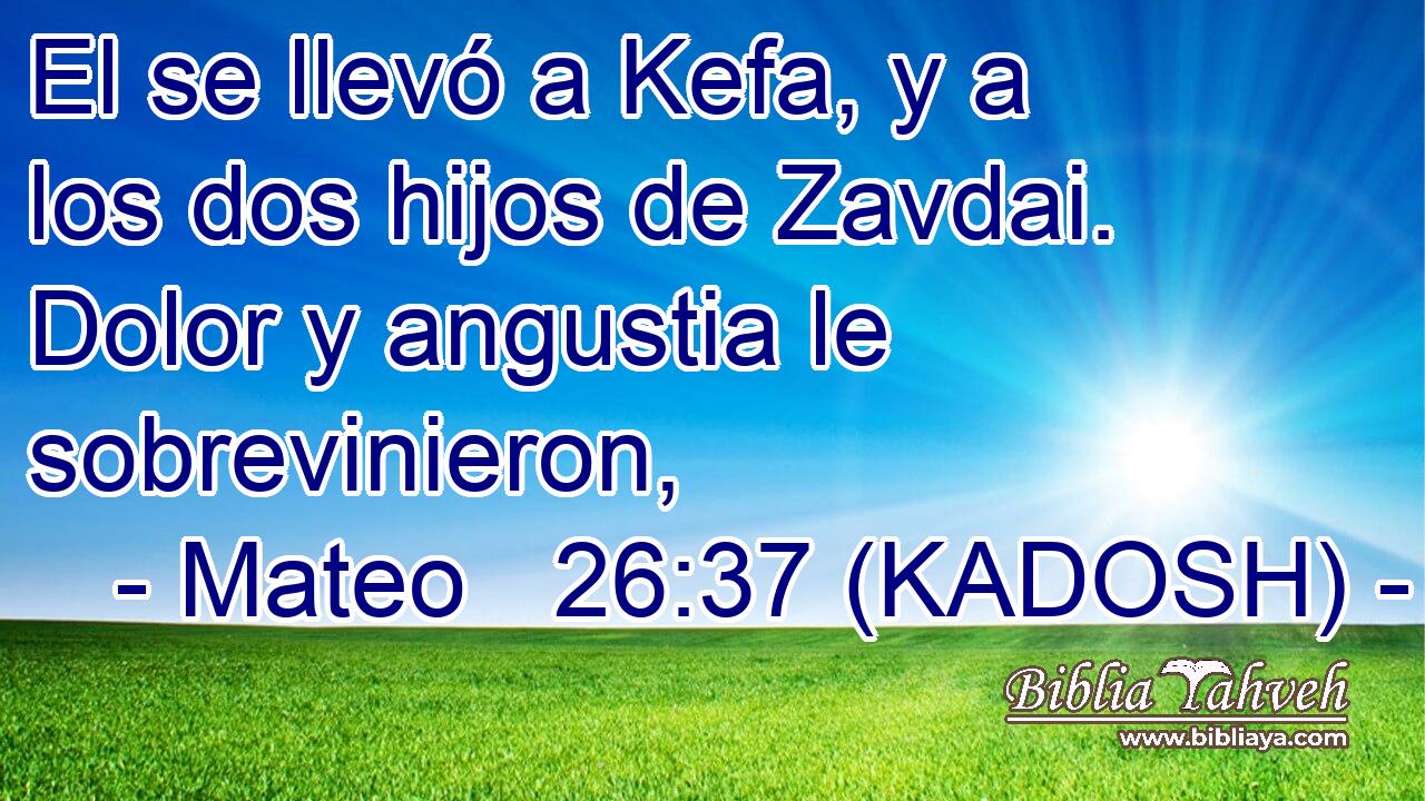  El se llevó a Kefa, y a los dos hijos de Zavdai. Dolor y angustia le sobrevinieron, 