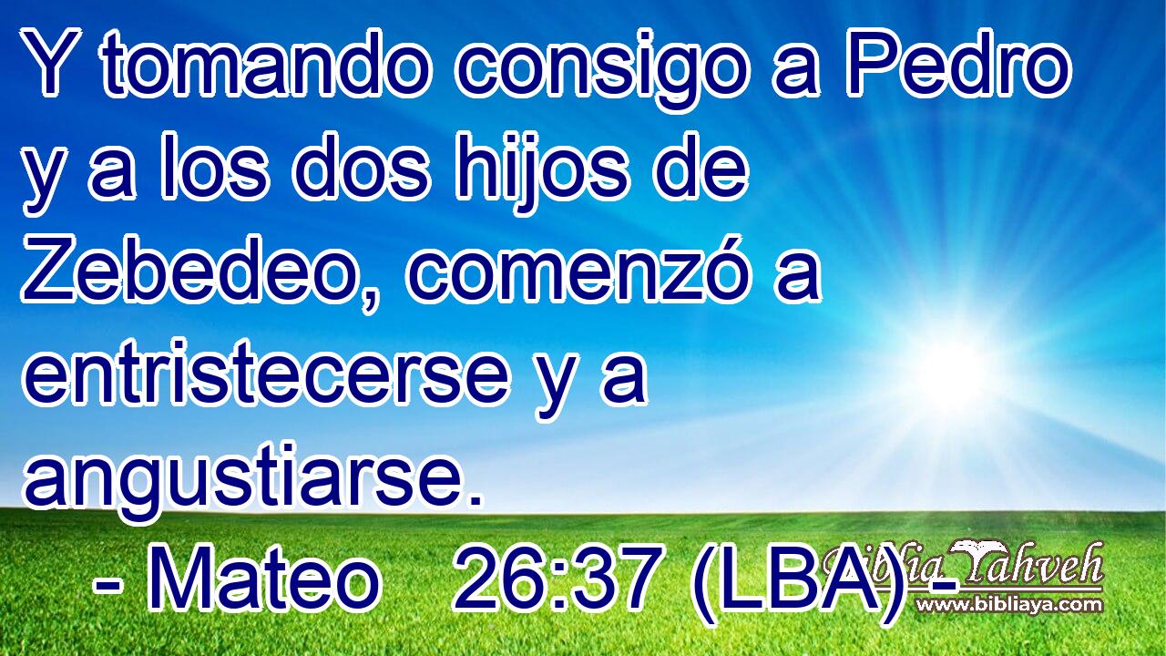 Y tomando consigo a Pedro y a los dos hijos de Zebedeo, comenzó a entristecerse y a angustiarse.