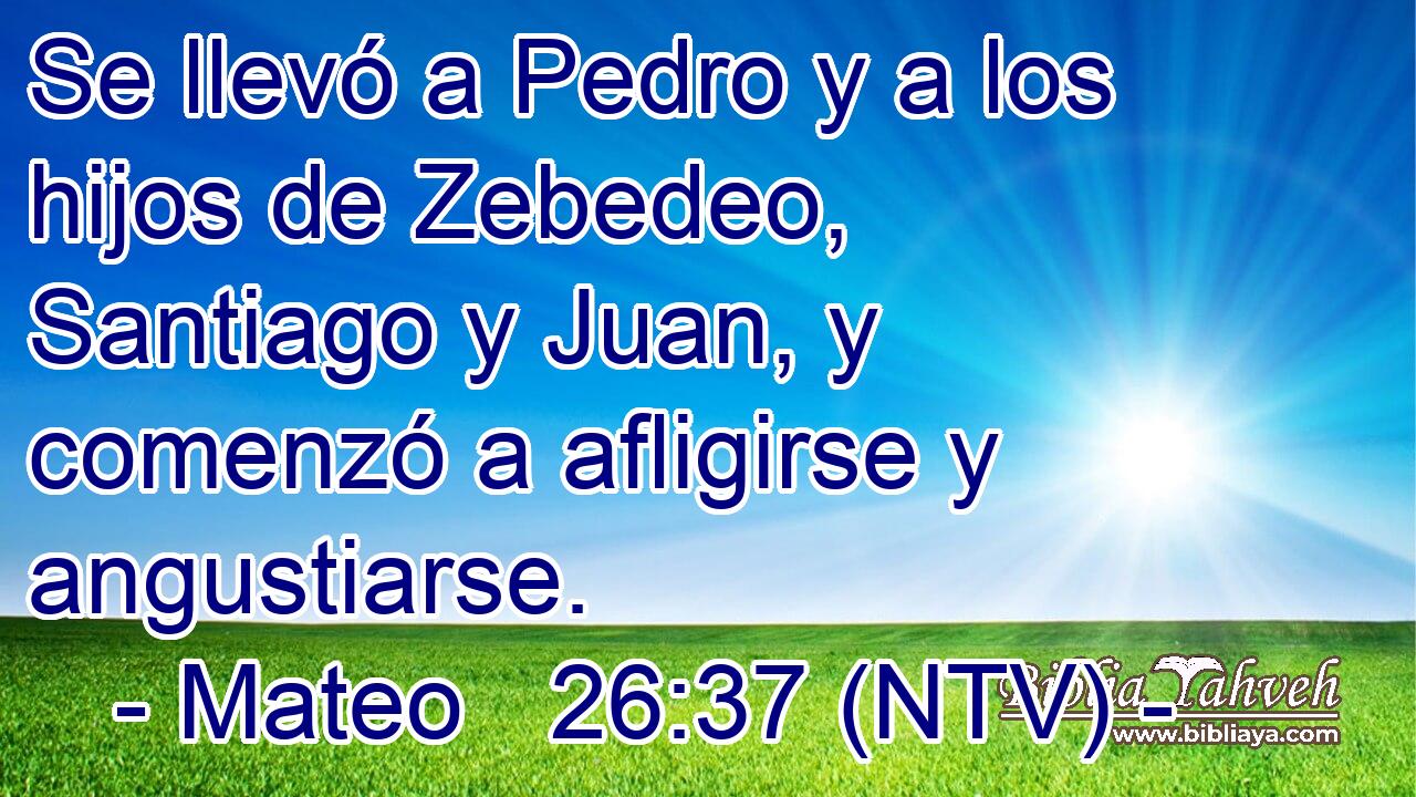 Se llevó a Pedro y a los hijos de Zebedeo, Santiago y Juan, y comenzó a afligirse y angustiarse.