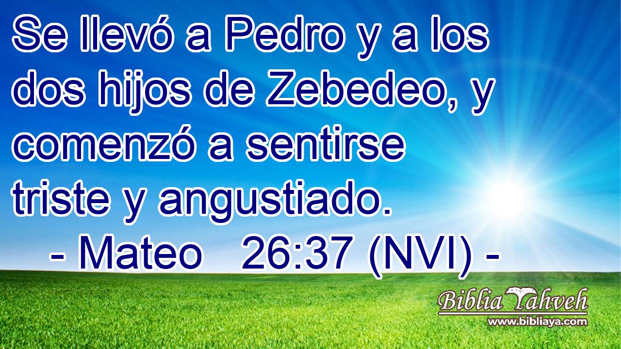  Se llevó a Pedro y a los dos hijos de Zebedeo, y comenzó a sentirse triste y angustiado. 
