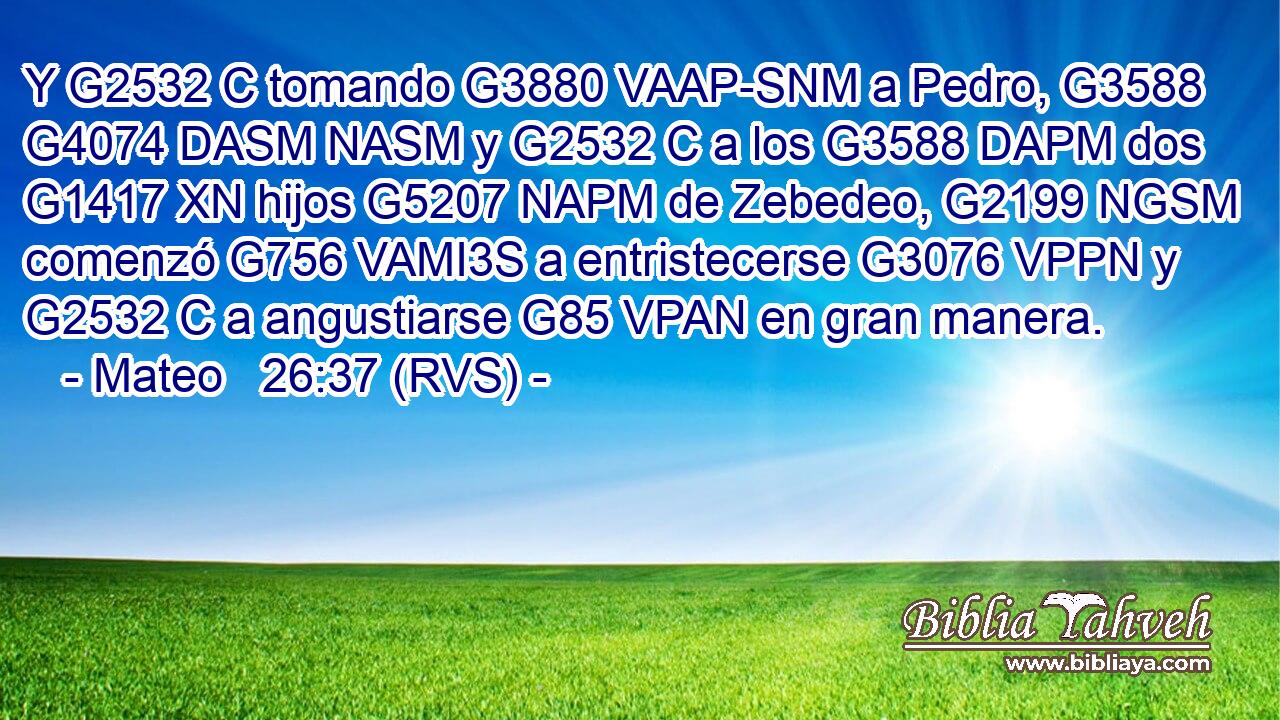 Y G2532 C tomando G3880 VAAP-SNM a Pedro, G3588 G4074 DASM NASM y G2532 C a los G3588 DAPM dos G1417 XN hijos G5207 NAPM de Zebedeo, G2199 NGSM comenzó G756 VAMI3S a entristecerse G3076 VPPN y G2532 C a angustiarse G85 VPAN en gran manera. 