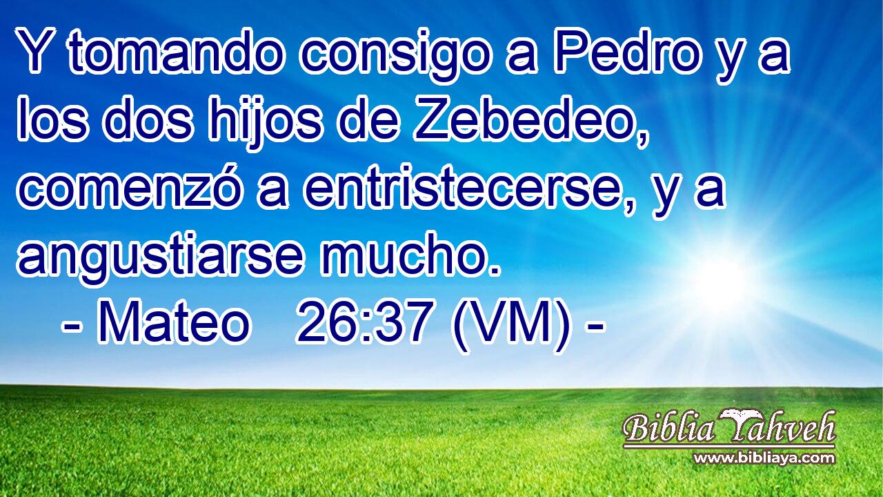  Y tomando consigo a Pedro y a los dos hijos de Zebedeo, comenzó a entristecerse, y a angustiarse mucho. 