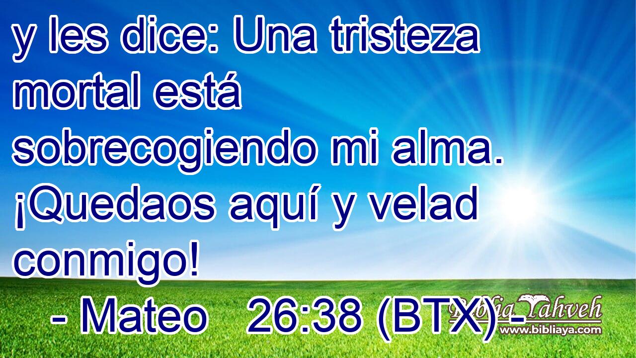 y les dice: Una tristeza mortal está sobrecogiendo mi alma. ¡Quedaos aquí y velad conmigo!