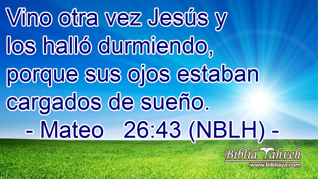  Vino otra vez Jesús y los halló durmiendo, porque sus ojos estaban cargados de sueño. 