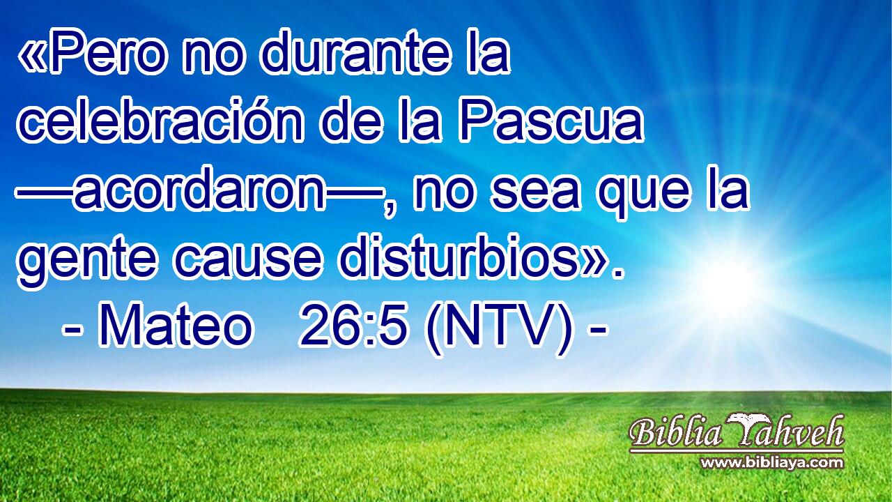 «Pero no durante la celebración de la Pascua —acordaron—, no sea que la gente cause disturbios».